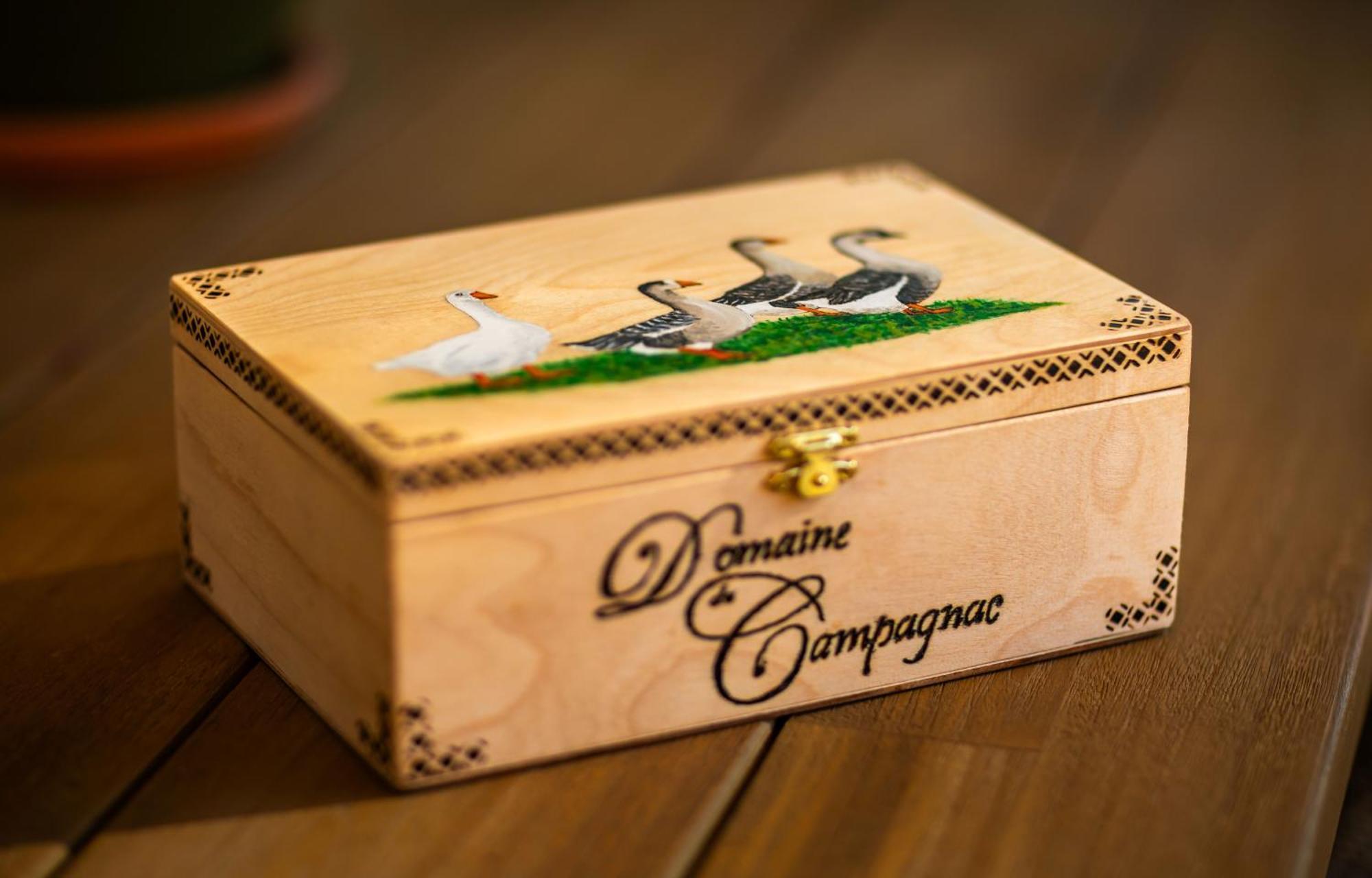 Domaine De Campagnac - Spa & Sauna Carsac-Aillac Dış mekan fotoğraf